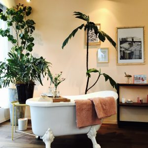 マイリトルボックス 2017 10月 ブログ